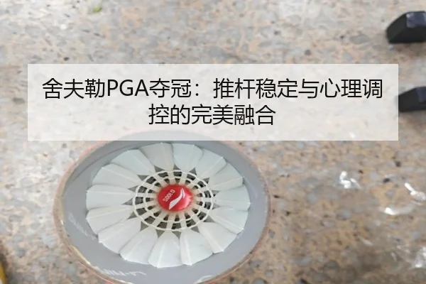 舍夫勒PGA夺冠：推杆稳定与心理调控的完美融合